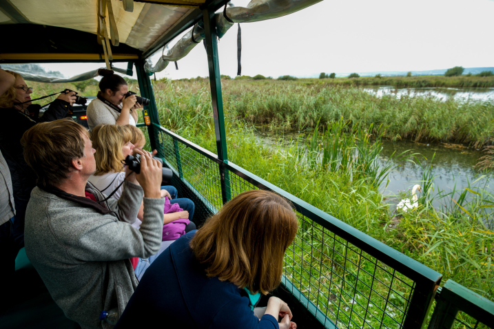 Wild Safari at Slimbridge Wetland Centre credit WWT and Martyn Poyner.jpg